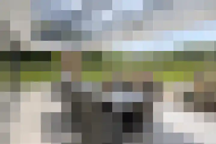 Leiweg 17 Geffen thumbnail 36