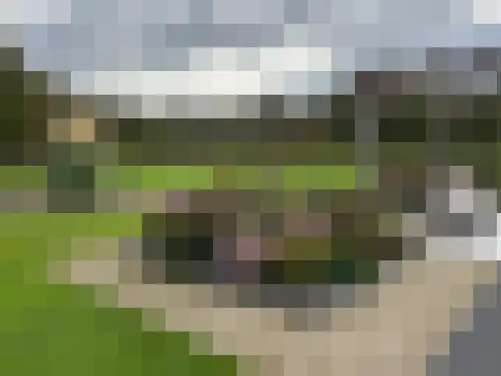Leiweg 17 Geffen thumbnail 48