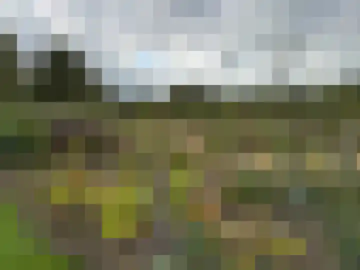 Leiweg 17 Geffen thumbnail 50