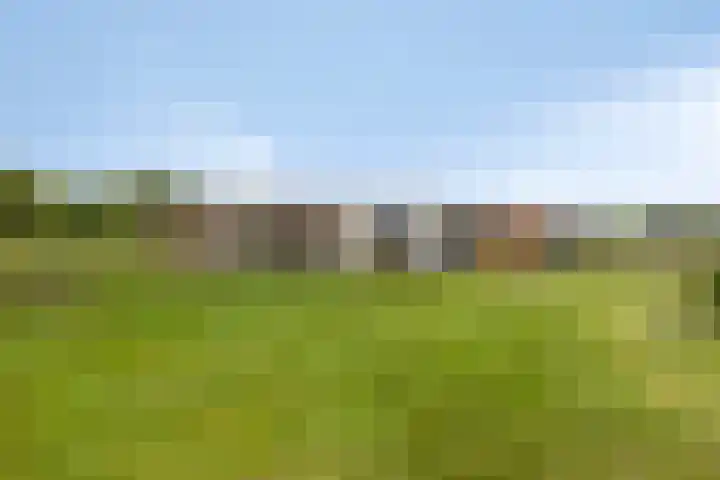 Leiweg 17 Geffen thumbnail 51