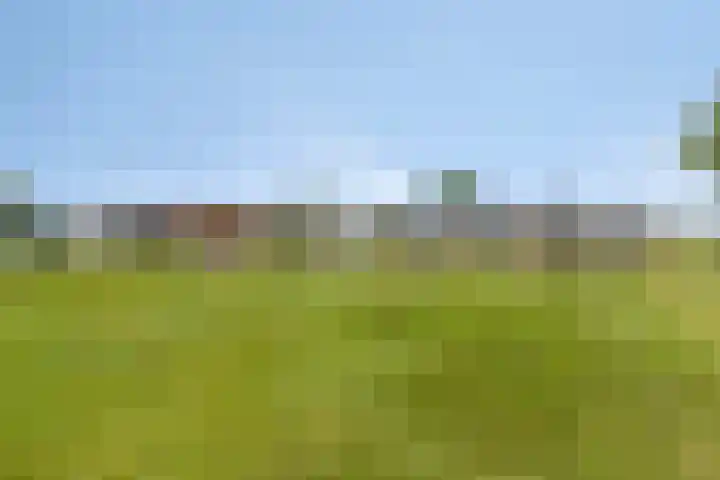 Leiweg 17 Geffen thumbnail 52