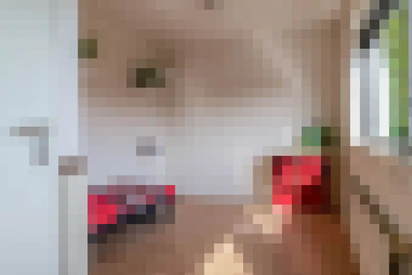 Lek 104 Nieuwerkerk aan den IJssel thumbnail 35