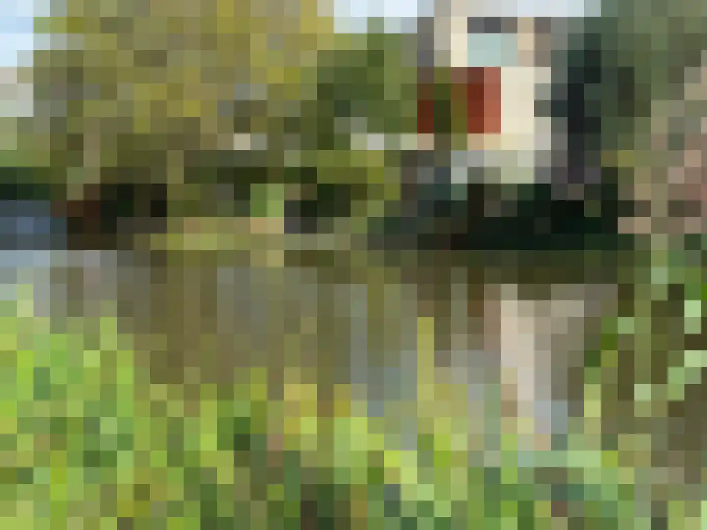 Lek 104 Nieuwerkerk aan den IJssel thumbnail 47