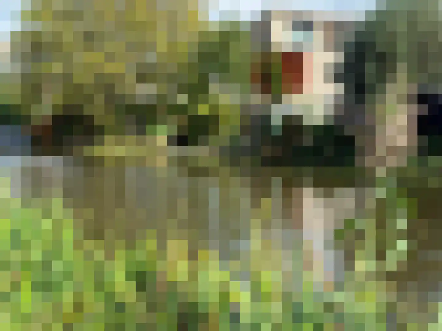 Lek 104 Nieuwerkerk aan den IJssel thumbnail 48