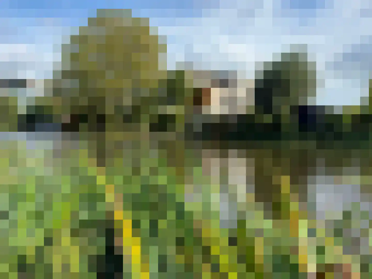 Lek 104 Nieuwerkerk aan den IJssel thumbnail 49