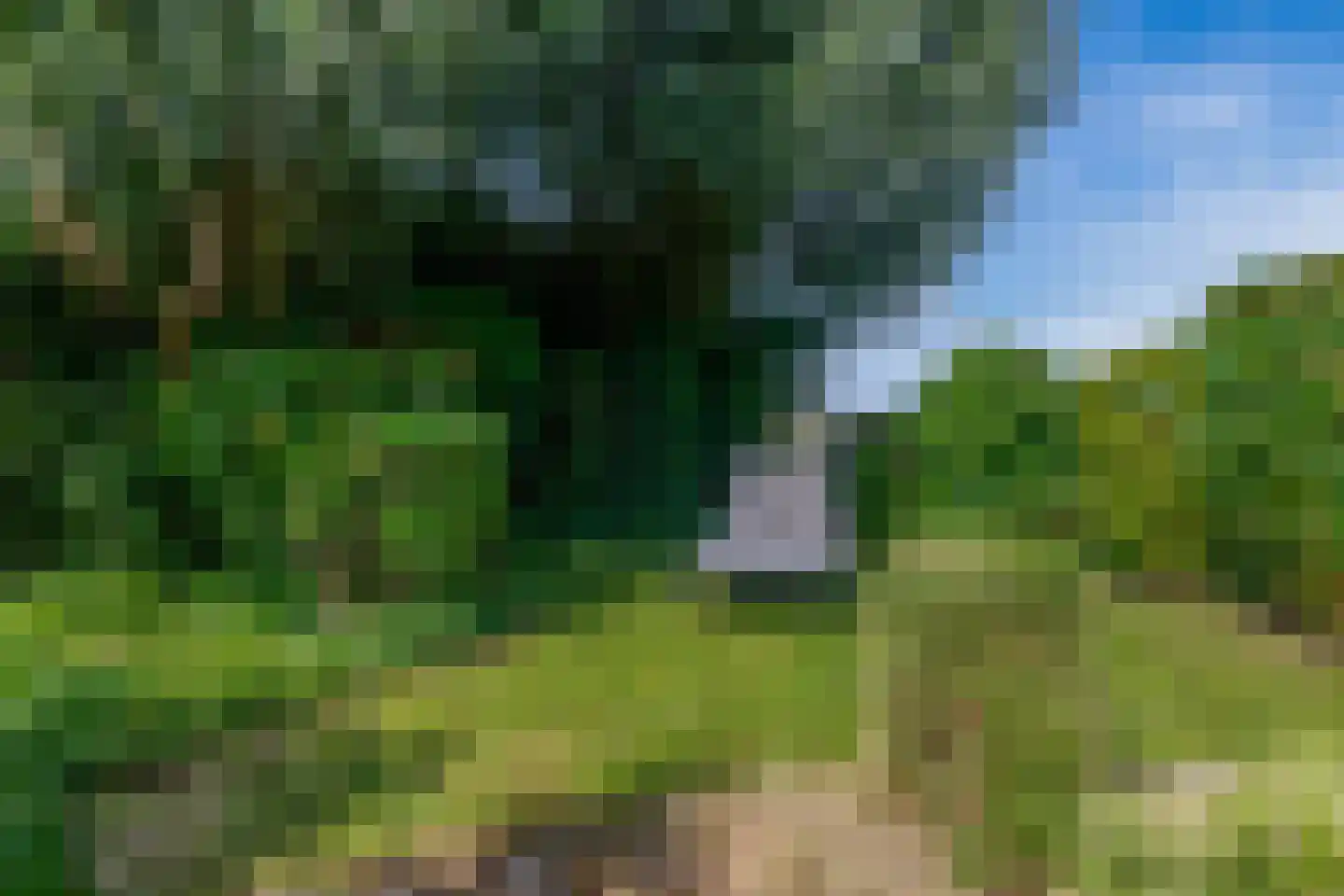 Lek 104 Nieuwerkerk aan den IJssel thumbnail 58
