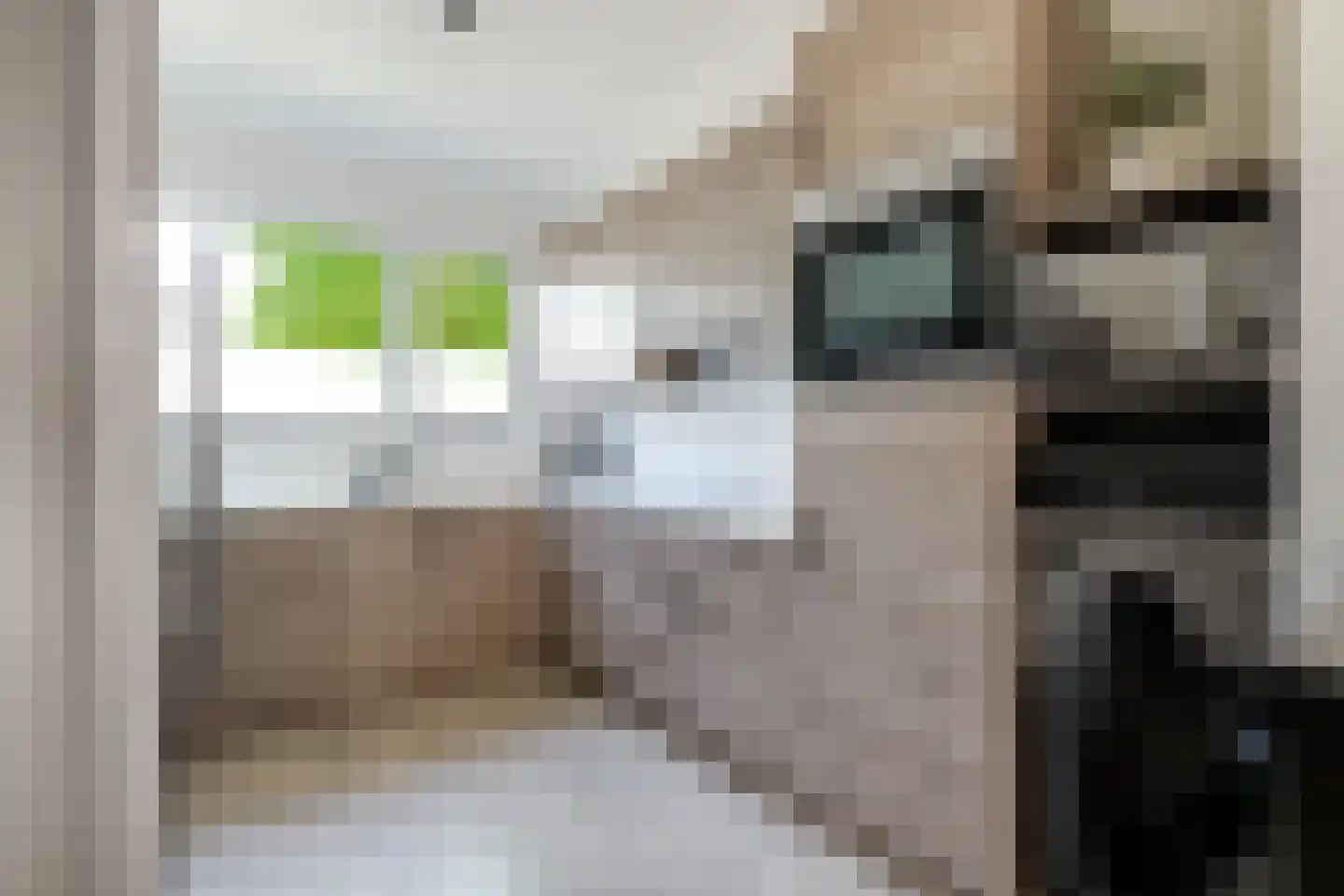 Lek 13 Heerhugowaard thumbnail 15
