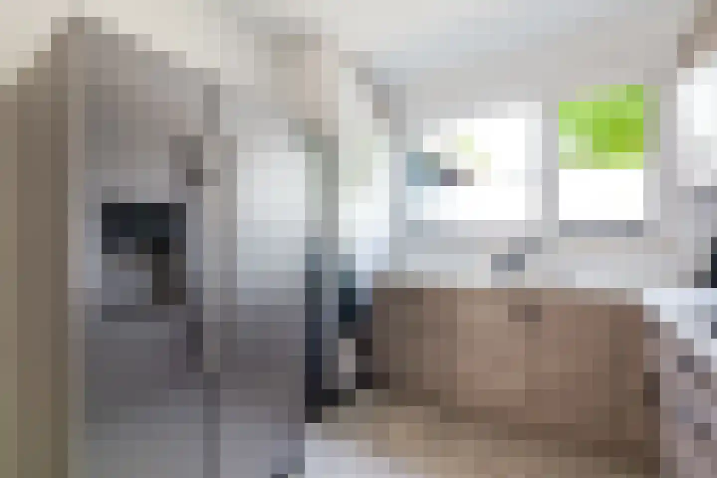 Lek 13 Heerhugowaard thumbnail 17