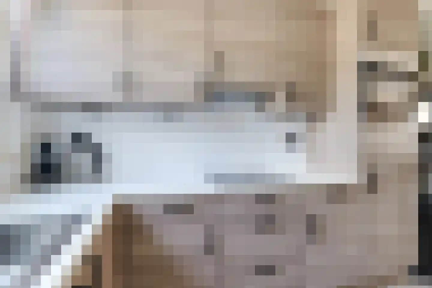 Lek 13 Heerhugowaard thumbnail 18