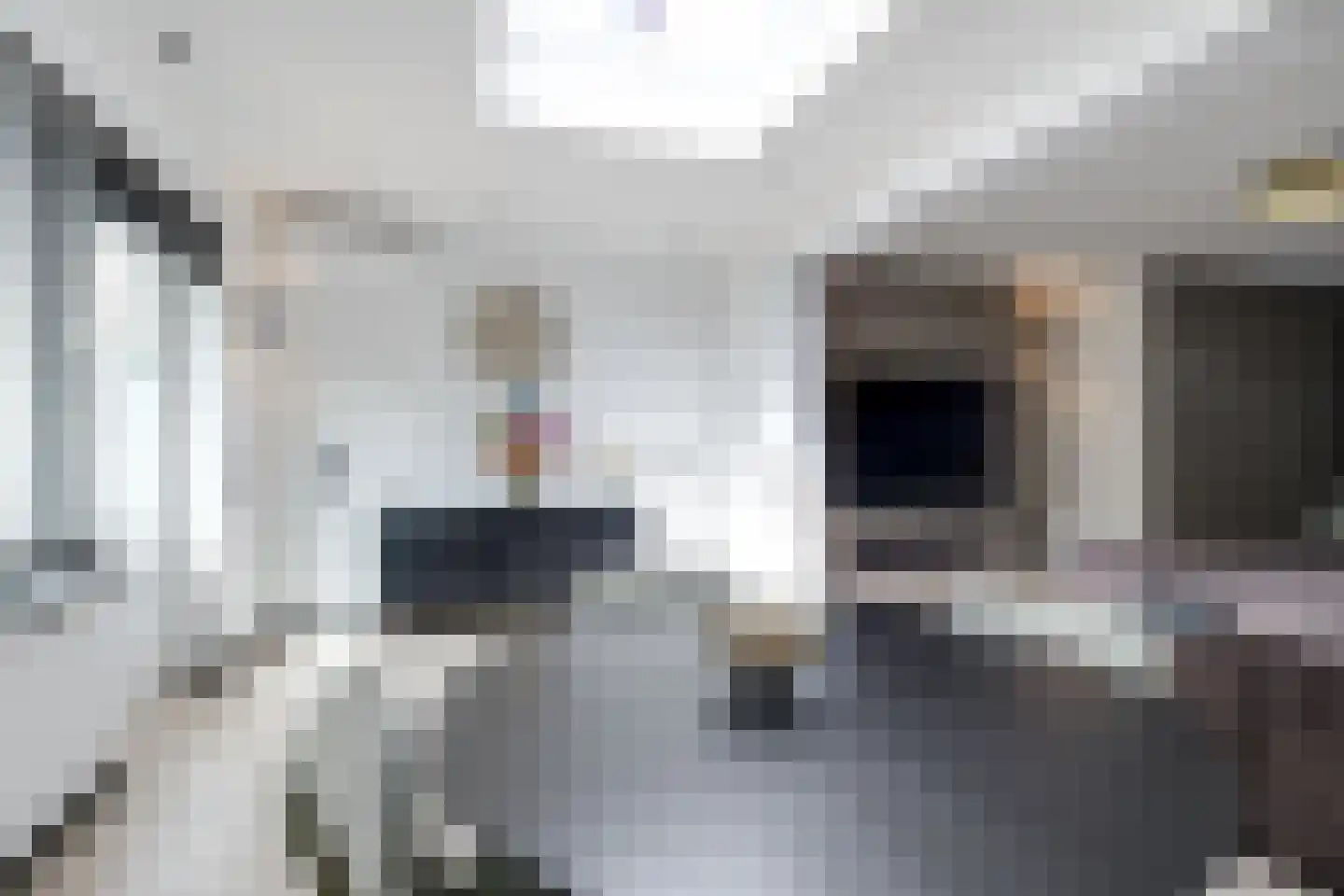 Lek 13 Heerhugowaard thumbnail 21