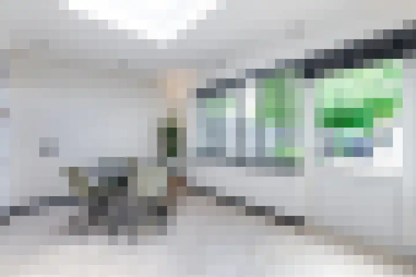 Lek 13 Heerhugowaard thumbnail 25