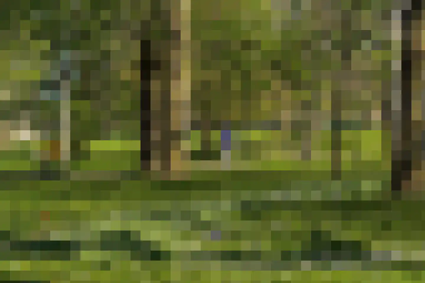 Lek 13 Heerhugowaard thumbnail 61