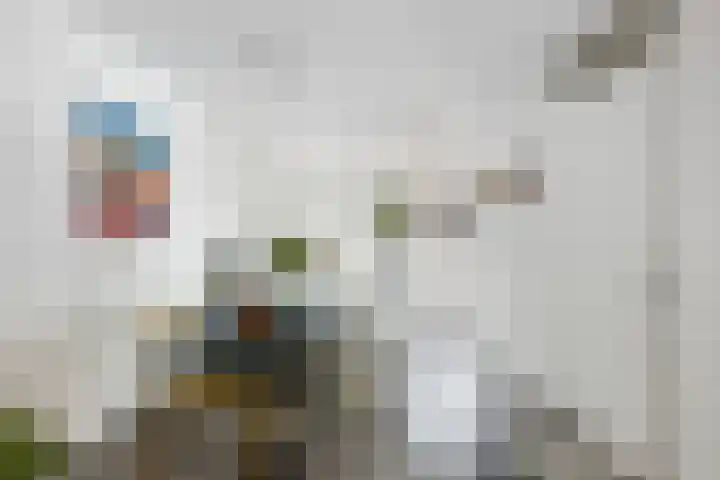 Lek 19 Nieuwerkerk aan den IJssel thumbnail 10