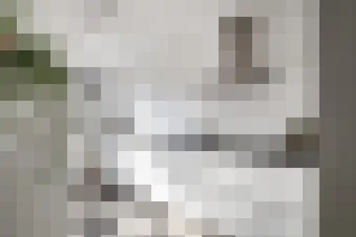 Lek 19 Nieuwerkerk aan den IJssel thumbnail 12
