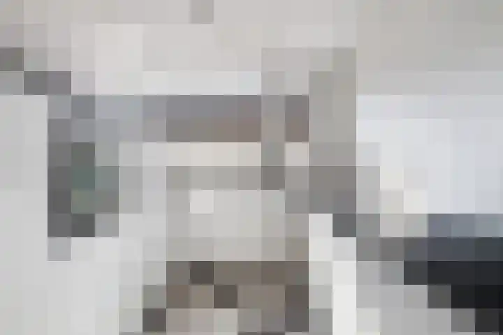 Lek 19 Nieuwerkerk aan den IJssel thumbnail 13