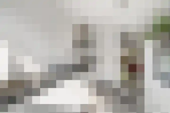 Lek 19 Nieuwerkerk aan den IJssel thumbnail 14