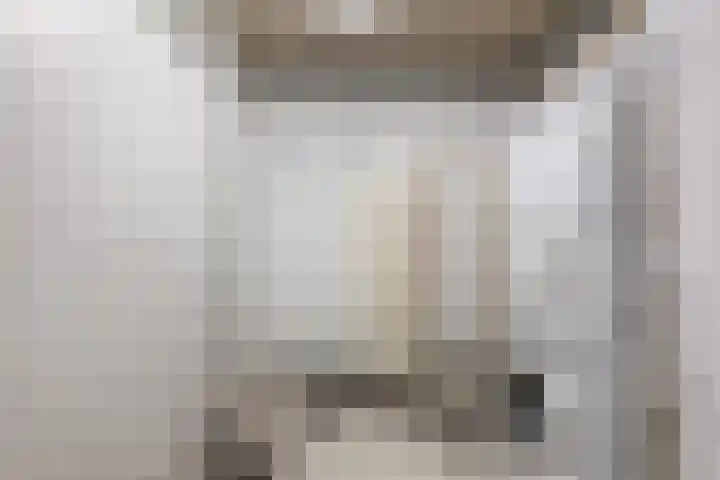 Lek 19 Nieuwerkerk aan den IJssel thumbnail 16