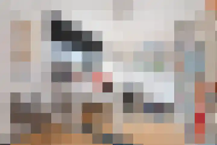 Lek 19 Nieuwerkerk aan den IJssel thumbnail 19
