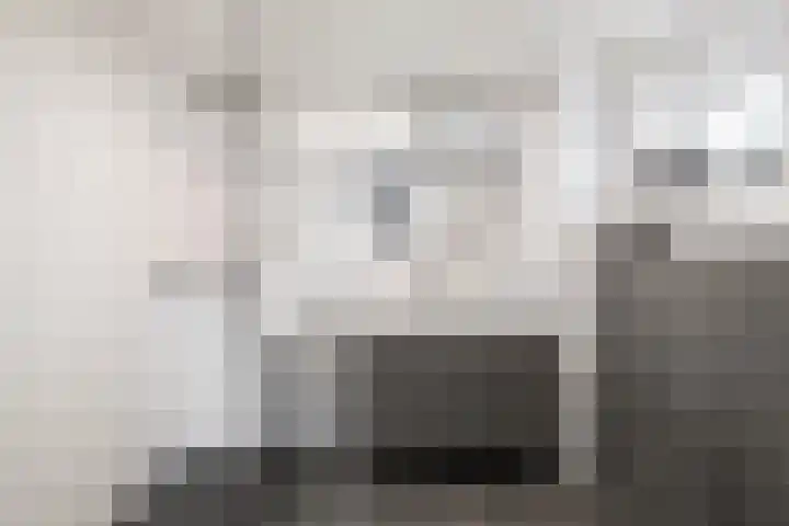 Lek 19 Nieuwerkerk aan den IJssel thumbnail 21