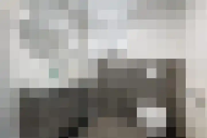 Lek 19 Nieuwerkerk aan den IJssel thumbnail 22