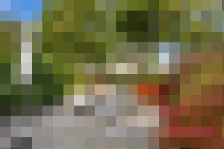 Lek 19 Nieuwerkerk aan den IJssel thumbnail 28
