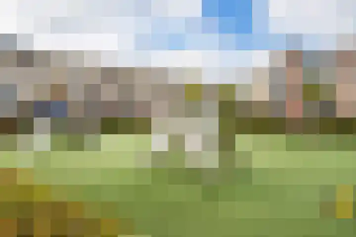 Lek 19 Nieuwerkerk aan den IJssel thumbnail 31