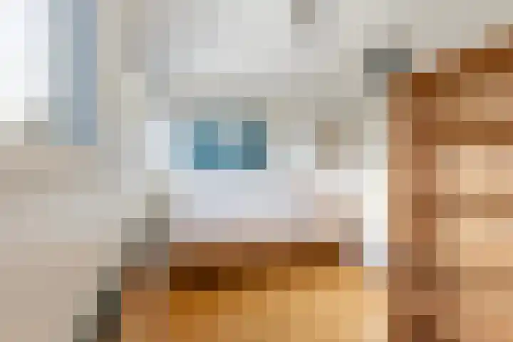 Lek 22 Heerhugowaard thumbnail 15