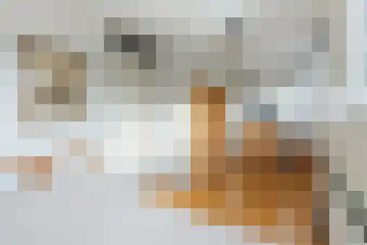 Lek 22 Heerhugowaard thumbnail 17