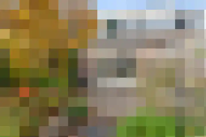 Lek 22 Heerhugowaard thumbnail 29