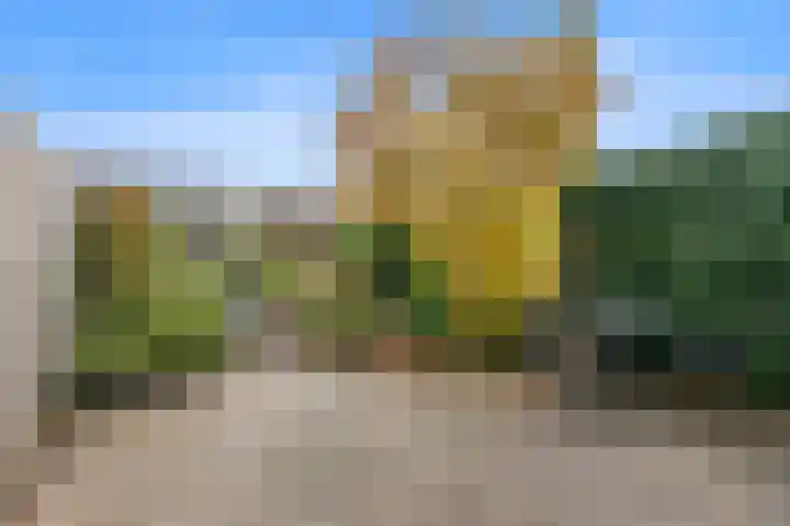 Lek 22 Heerhugowaard thumbnail 30
