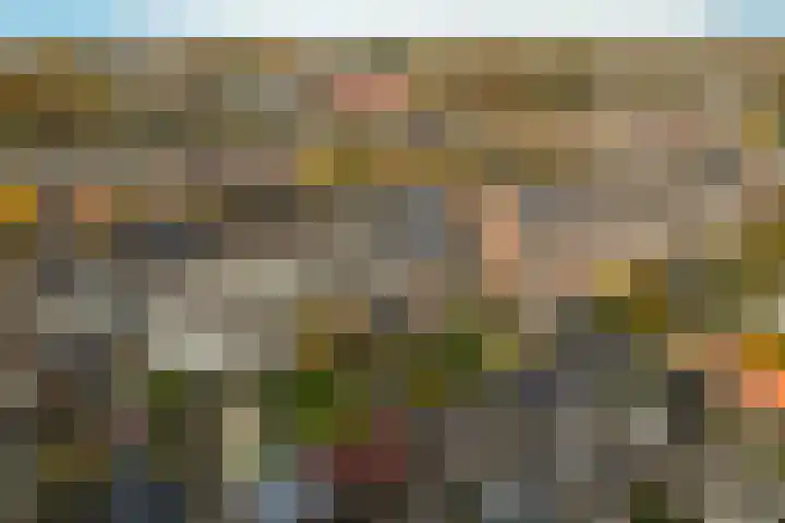 Lek 22 Heerhugowaard thumbnail 33