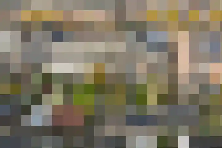 Lek 22 Heerhugowaard thumbnail 34