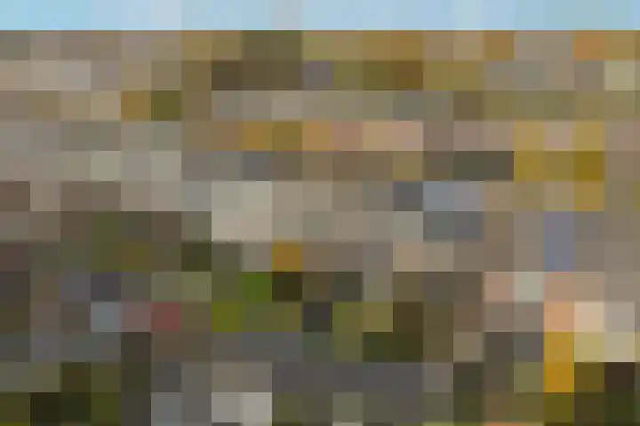 Lek 22 Heerhugowaard thumbnail 35