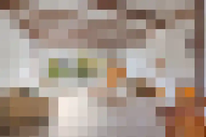 Lek 22 Heerhugowaard thumbnail 5