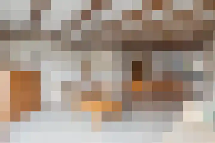 Lek 22 Heerhugowaard thumbnail 7