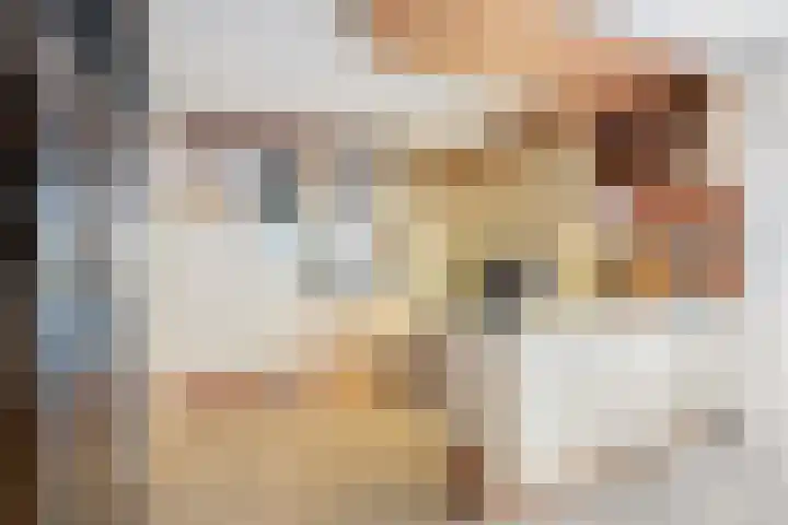 Lek 40 Nieuwerkerk aan den IJssel thumbnail 11