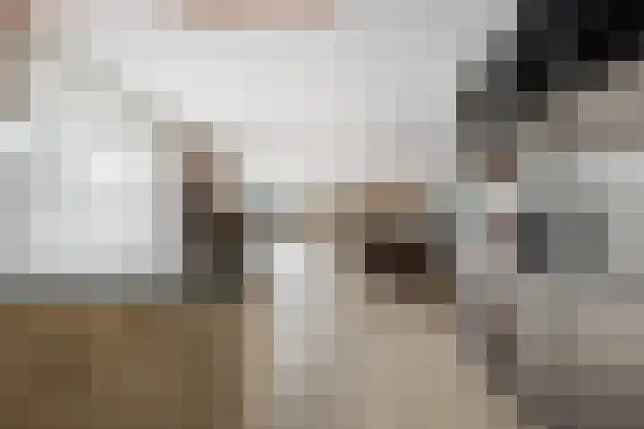 Lek 40 Nieuwerkerk aan den IJssel thumbnail 12