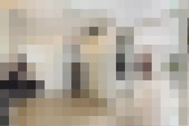 Lek 40 Nieuwerkerk aan den IJssel thumbnail 17