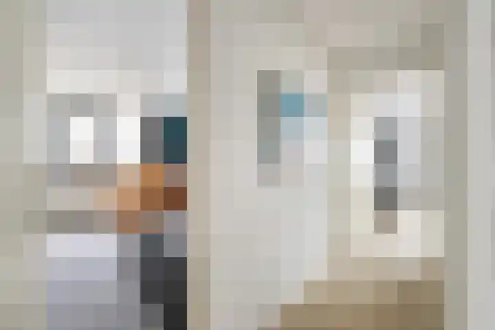 Lek 40 Nieuwerkerk aan den IJssel thumbnail 18