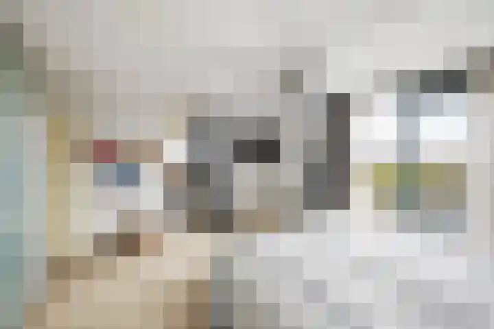 Lek 40 Nieuwerkerk aan den IJssel thumbnail 20