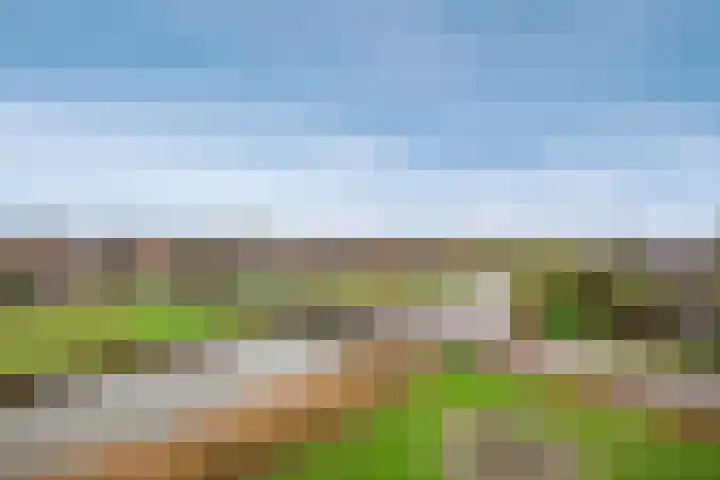 Lek 40 Nieuwerkerk aan den IJssel thumbnail 23