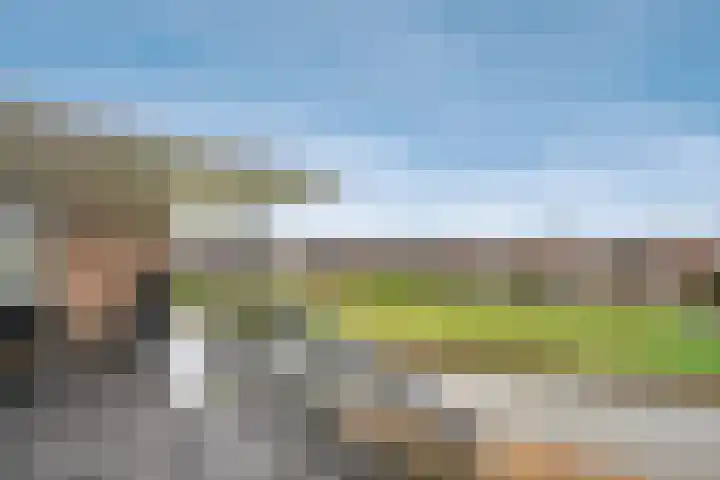 Lek 40 Nieuwerkerk aan den IJssel thumbnail 24