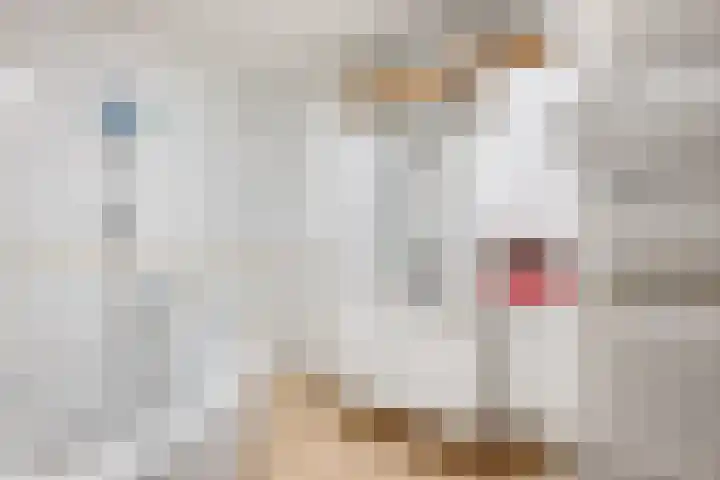 Lek 40 Nieuwerkerk aan den IJssel thumbnail 27
