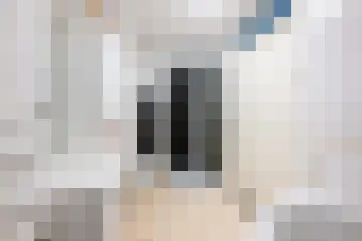 Lek 40 Nieuwerkerk aan den IJssel thumbnail 28