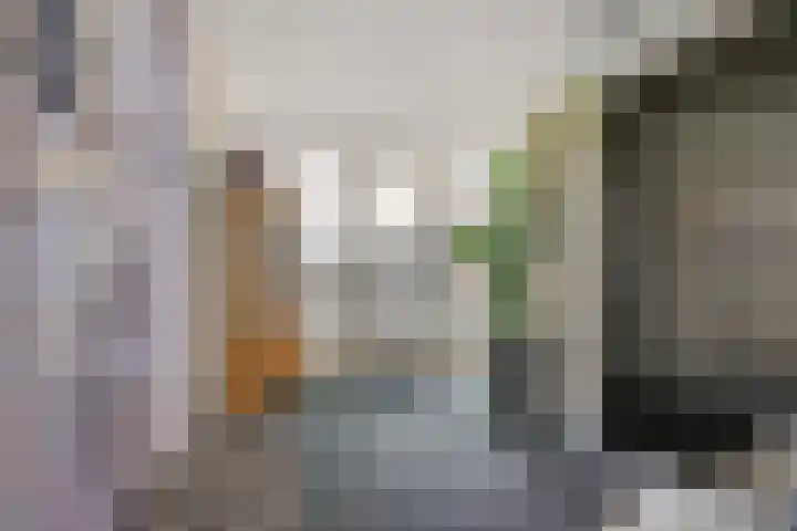 Lek 40 Nieuwerkerk aan den IJssel thumbnail 30