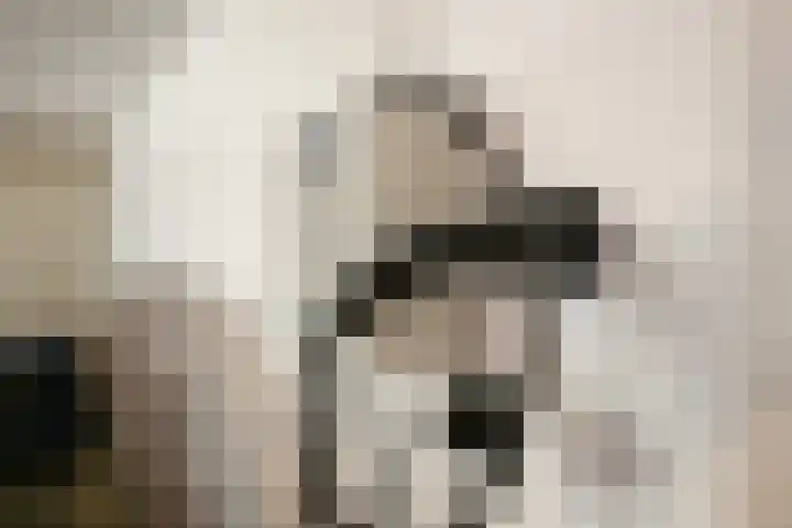 Lek 40 Nieuwerkerk aan den IJssel thumbnail 33