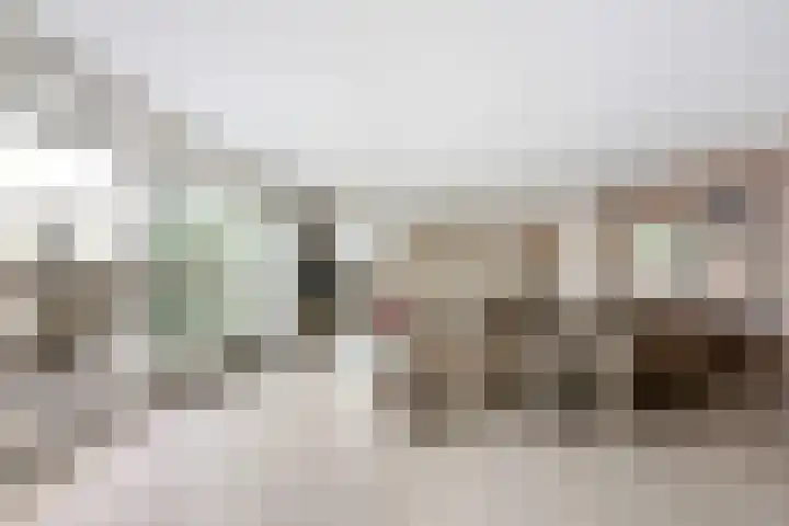 Lek 40 Nieuwerkerk aan den IJssel thumbnail 7
