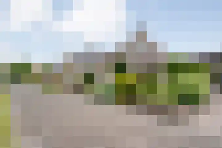 Lek 5 Hoogeveen foto 2