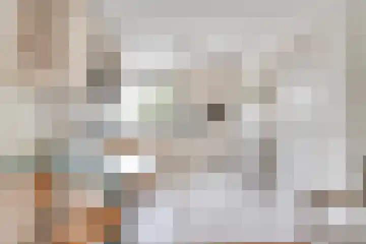 Lek 5 Hoogeveen thumbnail 22