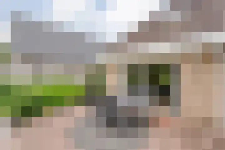 Lek 5 Hoogeveen thumbnail 40